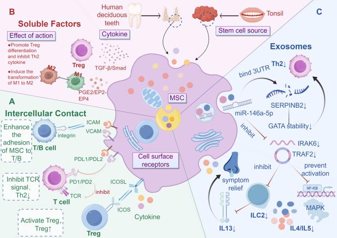 https://cdn.ncbi.nlm.nih.gov/pmc/blobs/cb10/12008879/b1e42e5c136d/13287_2025_4333_Fig1_HTML.jpg