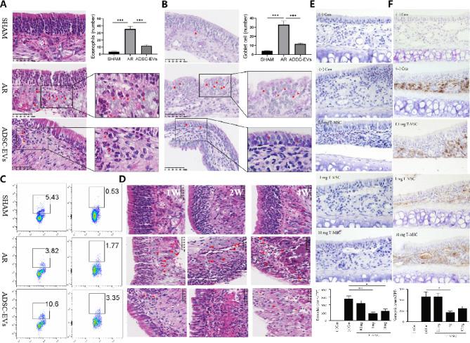 https://cdn.ncbi.nlm.nih.gov/pmc/blobs/cb10/12008879/ce6b17d655a0/13287_2025_4333_Fig2_HTML.jpg