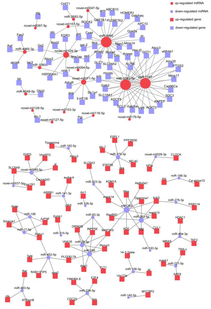 https://cdn.ncbi.nlm.nih.gov/pmc/blobs/cb10/12024918/479d89342ff4/biology-14-00440-g007.jpg