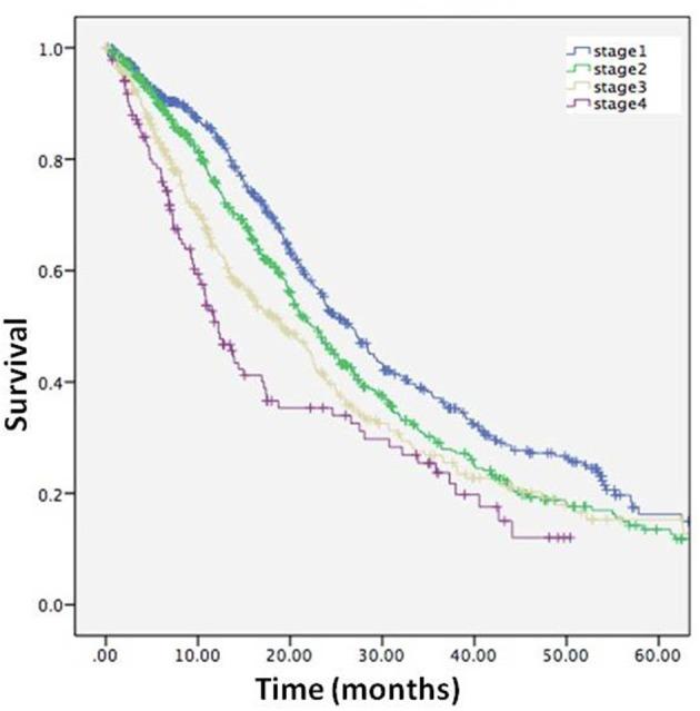 https://cdn.ncbi.nlm.nih.gov/pmc/blobs/cb10/6018204/b12097d3120c/fneur-09-00442-g0005.jpg