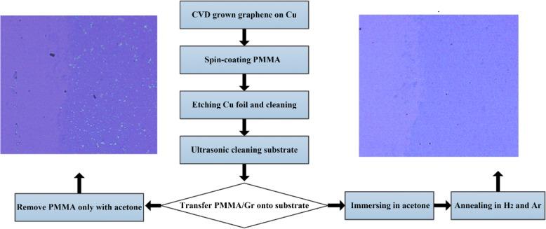 https://cdn.ncbi.nlm.nih.gov/pmc/blobs/cb10/6172161/cde60d1b5ea7/11671_2018_2736_Fig1_HTML.jpg