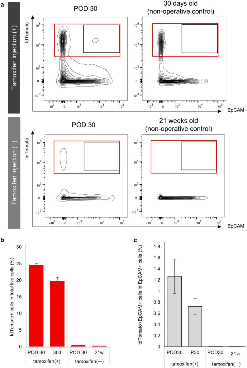 https://cdn.ncbi.nlm.nih.gov/pmc/blobs/cb14/12332924/77fd9353a4e2/gr11.jpg