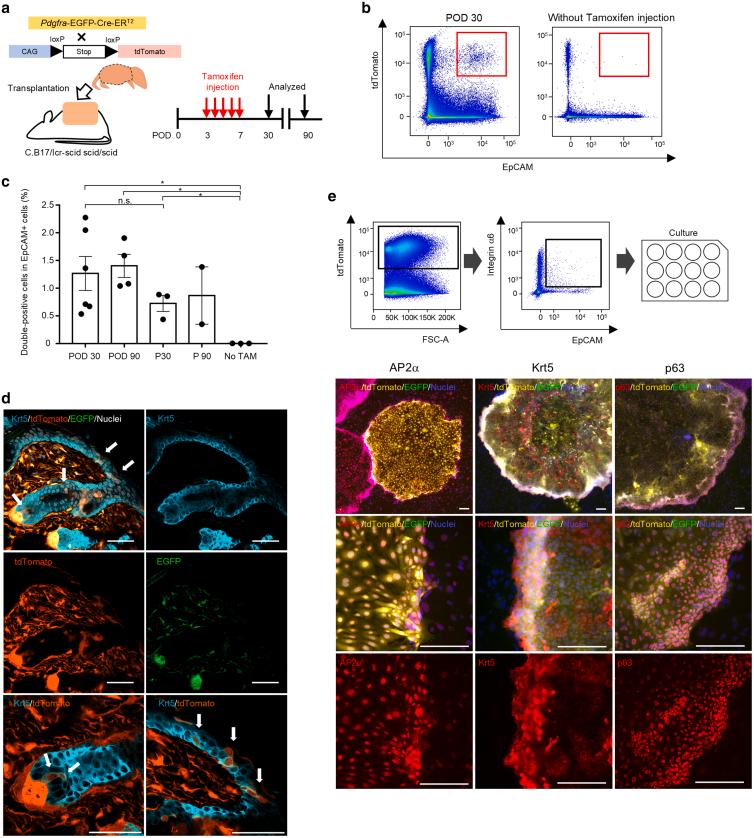 https://cdn.ncbi.nlm.nih.gov/pmc/blobs/cb14/12332924/8c2c1da3dadd/gr10.jpg