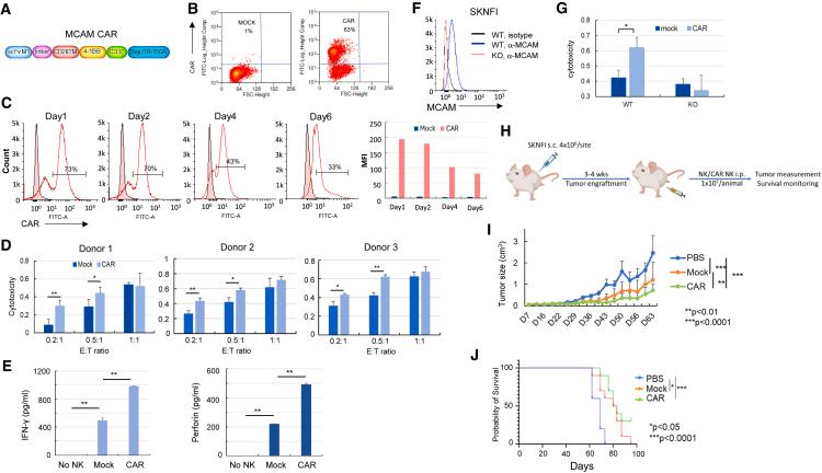 https://cdn.ncbi.nlm.nih.gov/pmc/blobs/cb15/11567912/60e79809c8db/gr1.jpg