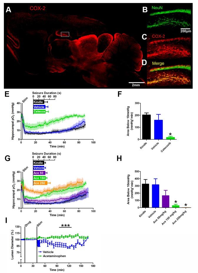 https://cdn.ncbi.nlm.nih.gov/pmc/blobs/cb15/5154758/da4eb4cfc8a2/elife-19352-fig4.jpg