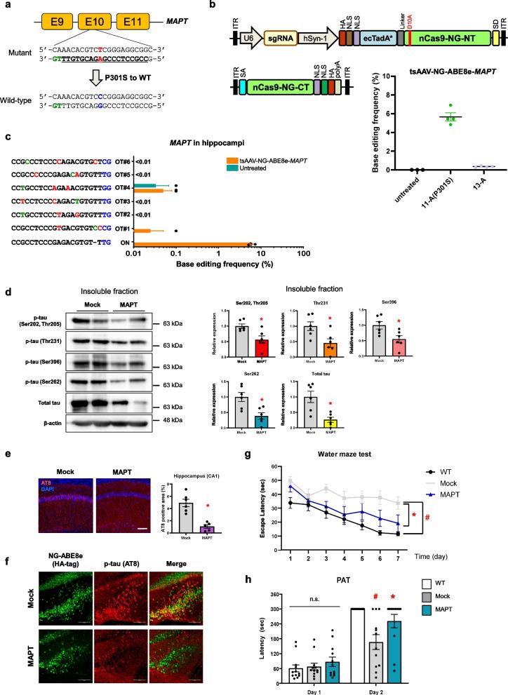 https://cdn.ncbi.nlm.nih.gov/pmc/blobs/cb16/11010288/0fd955d5732e/40035_2024_415_Fig1_HTML.jpg