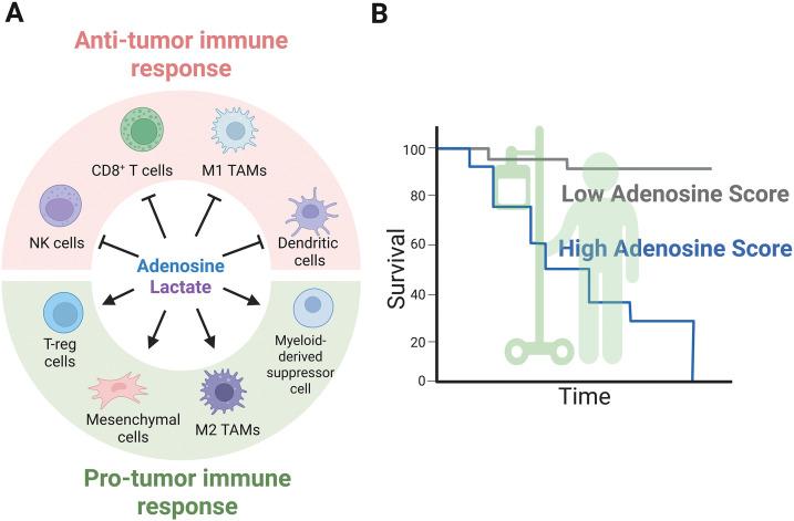 https://cdn.ncbi.nlm.nih.gov/pmc/blobs/cb16/12308261/4da4cce81e42/OncolRes-33-65953-f003.jpg