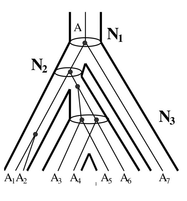 https://cdn.ncbi.nlm.nih.gov/pmc/blobs/cb17/1523204/34bffcbe730b/1471-2148-6-52-1.jpg