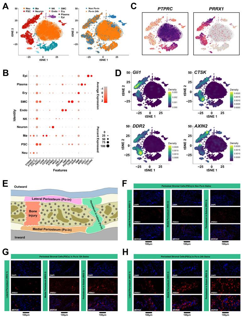 https://cdn.ncbi.nlm.nih.gov/pmc/blobs/cb19/11200943/6eab44b999c0/biomedicines-12-01205-g003.jpg