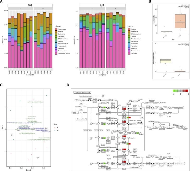 https://cdn.ncbi.nlm.nih.gov/pmc/blobs/cb19/11240238/e5514bbe243f/giae038fig3.jpg