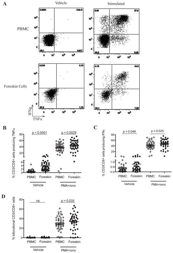 https://cdn.ncbi.nlm.nih.gov/pmc/blobs/cb19/3288185/cb7794d19b54/nihms337059f5.jpg