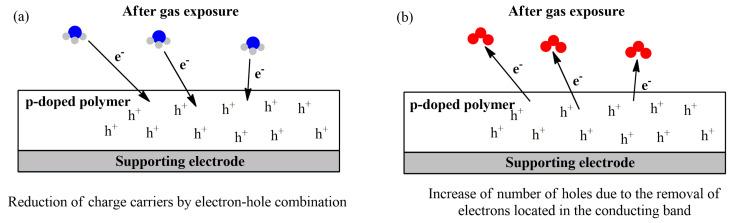https://cdn.ncbi.nlm.nih.gov/pmc/blobs/cb19/8347095/612baa3b21d6/sensors-21-04976-g008.jpg