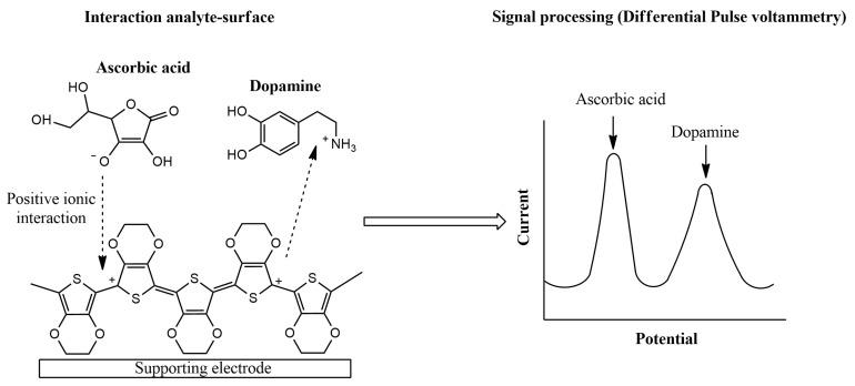 https://cdn.ncbi.nlm.nih.gov/pmc/blobs/cb19/8347095/e76de0fc7f76/sensors-21-04976-g004.jpg