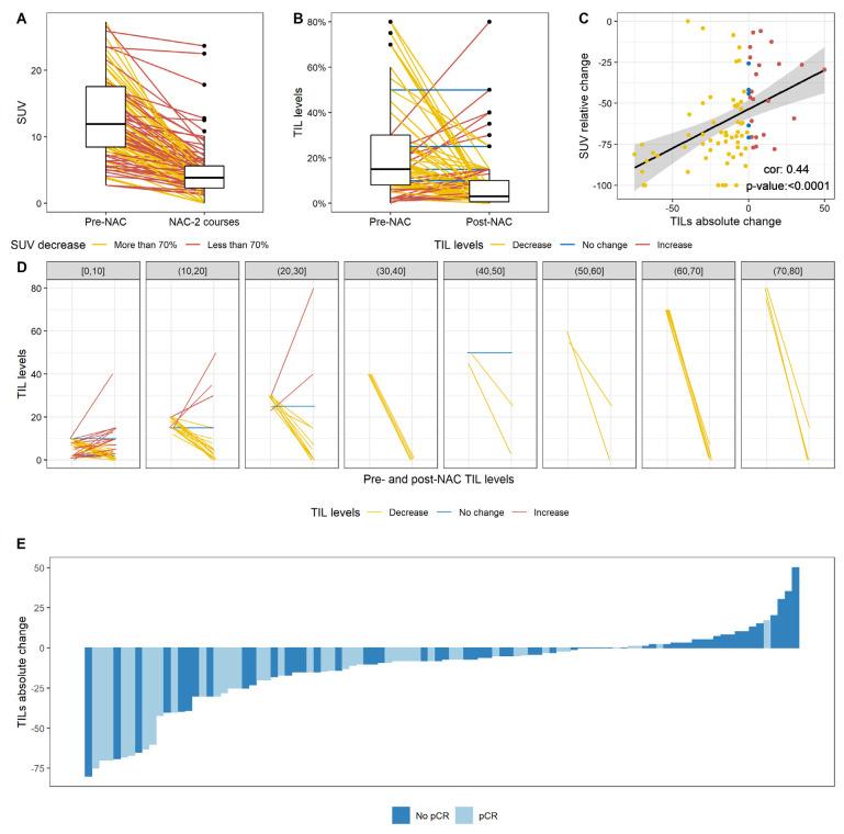 https://cdn.ncbi.nlm.nih.gov/pmc/blobs/cb1b/8909288/20da297da22e/cancers-14-01331-g003.jpg