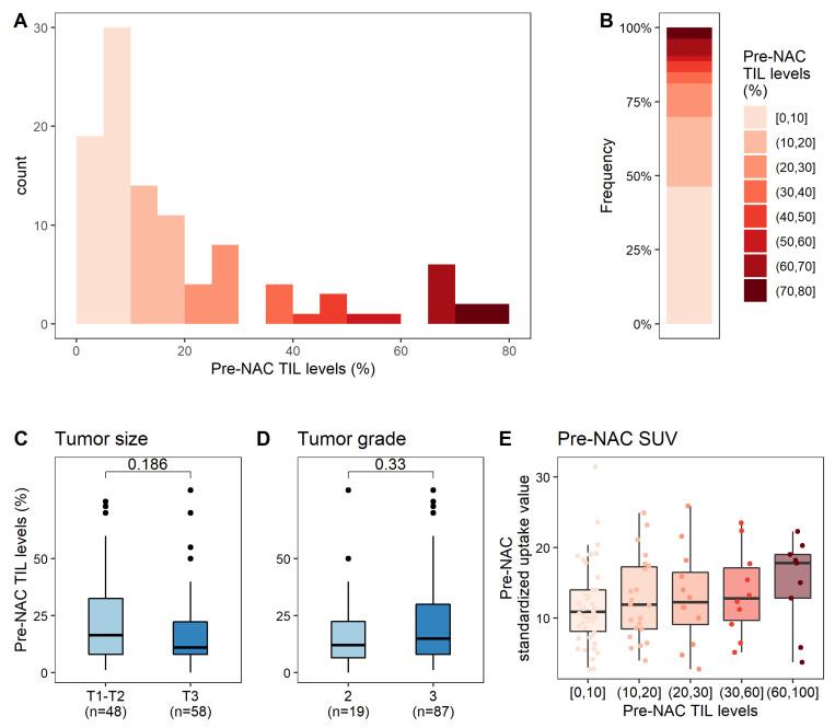 https://cdn.ncbi.nlm.nih.gov/pmc/blobs/cb1b/8909288/663fa76374ac/cancers-14-01331-g002.jpg