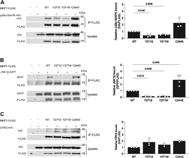 https://cdn.ncbi.nlm.nih.gov/pmc/blobs/cb1b/9676401/810659a82466/gr4.jpg