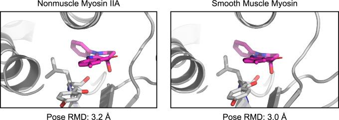 https://cdn.ncbi.nlm.nih.gov/pmc/blobs/cb1b/9995120/dbea80dafaec/elife-83602-fig6-figsupp4.jpg