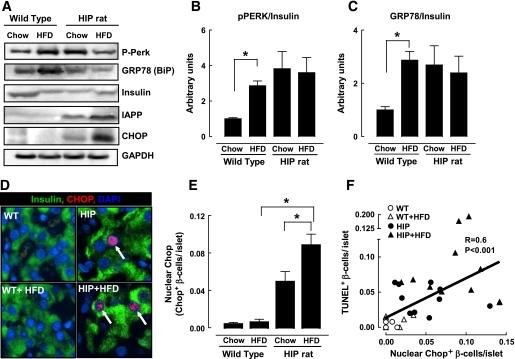 https://cdn.ncbi.nlm.nih.gov/pmc/blobs/cb1c/2661593/6509319c991e/zdb0040956770004.jpg