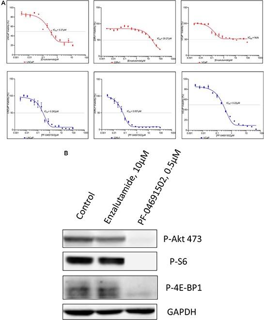 https://cdn.ncbi.nlm.nih.gov/pmc/blobs/cb1d/4747202/a927f7c2ad91/oncotarget-06-41976-g003.jpg