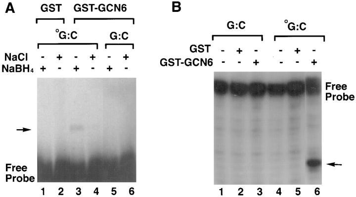 https://cdn.ncbi.nlm.nih.gov/pmc/blobs/cb1e/2199107/968ca59910c4/JEM.971038f5.jpg