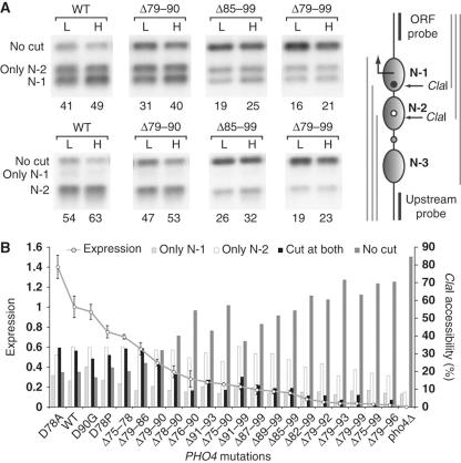 https://cdn.ncbi.nlm.nih.gov/pmc/blobs/cb1e/3010110/233a474b7b53/msb201083-f2.jpg