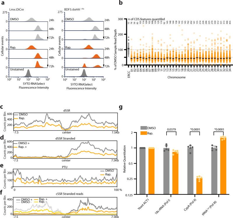 https://cdn.ncbi.nlm.nih.gov/pmc/blobs/cb1e/9279504/22b4b883d3b1/41467_2022_31742_Fig6_HTML.jpg