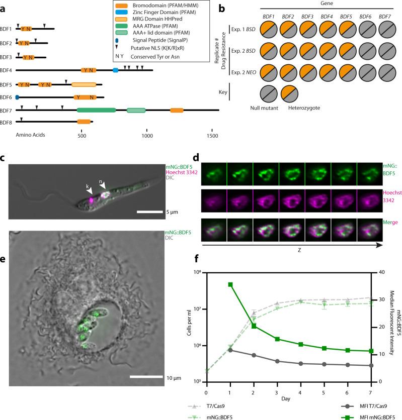 https://cdn.ncbi.nlm.nih.gov/pmc/blobs/cb1e/9279504/654d64db5414/41467_2022_31742_Fig1_HTML.jpg