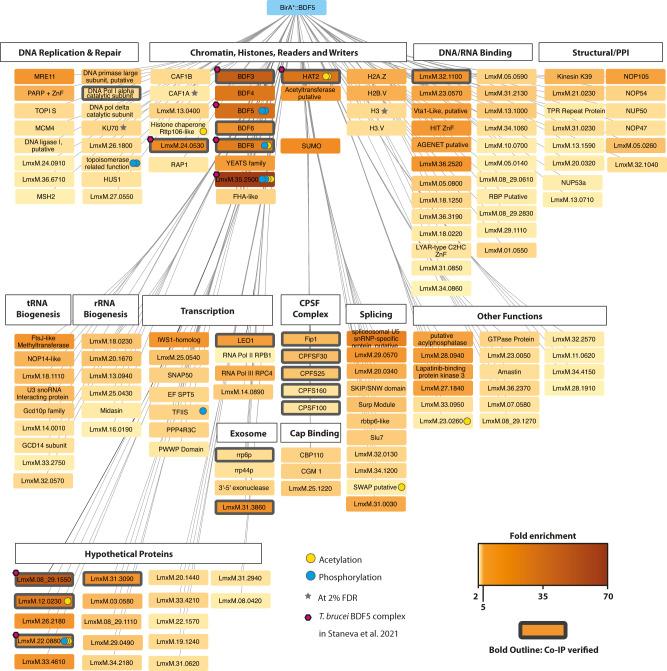 https://cdn.ncbi.nlm.nih.gov/pmc/blobs/cb1e/9279504/bbef8548c2bf/41467_2022_31742_Fig5_HTML.jpg