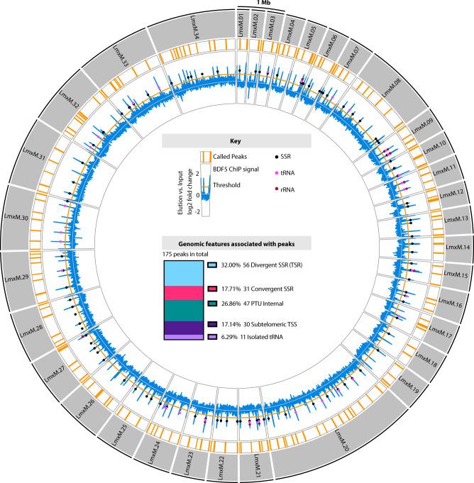 https://cdn.ncbi.nlm.nih.gov/pmc/blobs/cb1e/9279504/dbf010612cb0/41467_2022_31742_Fig3_HTML.jpg
