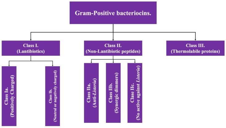 https://cdn.ncbi.nlm.nih.gov/pmc/blobs/cb20/11273373/3167742ba0f6/antibiotics-13-00666-g001.jpg