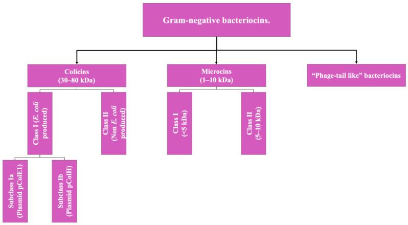 https://cdn.ncbi.nlm.nih.gov/pmc/blobs/cb20/11273373/c6ee8cd47505/antibiotics-13-00666-g002.jpg