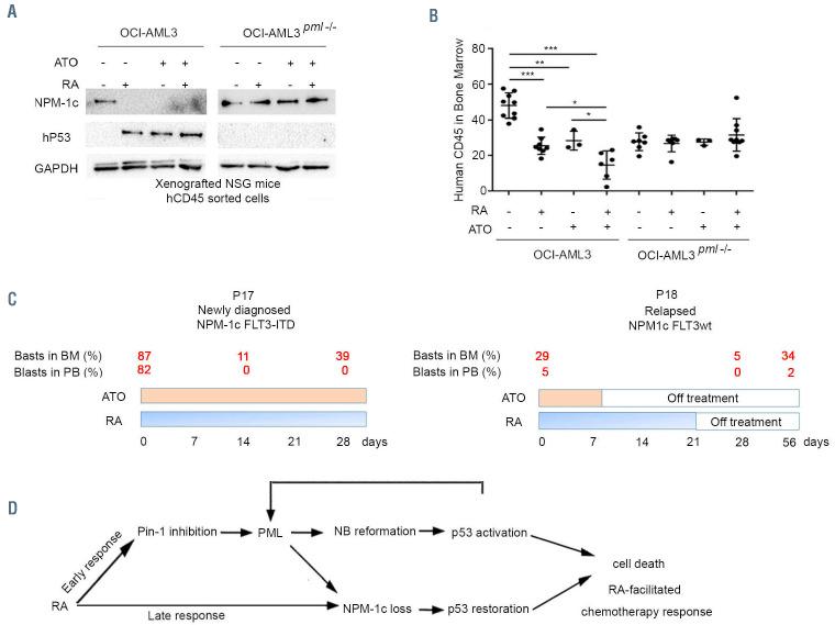 https://cdn.ncbi.nlm.nih.gov/pmc/blobs/cb20/8634200/170e9868a54e/1063090.fig5.jpg