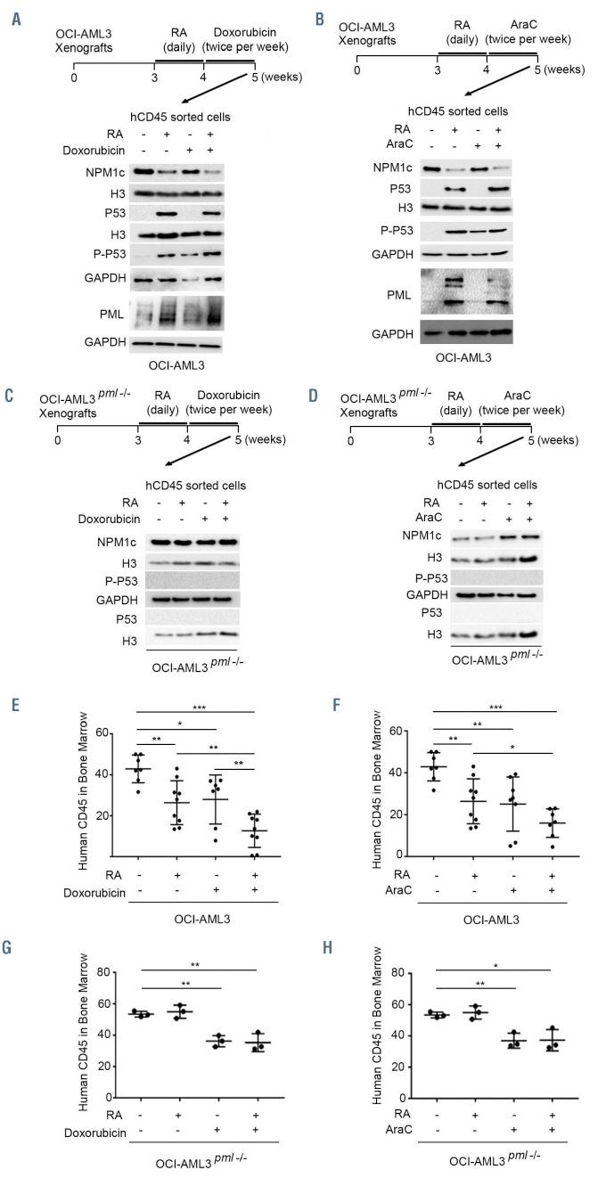 https://cdn.ncbi.nlm.nih.gov/pmc/blobs/cb20/8634200/6fd8ca3491bc/1063090.fig4.jpg
