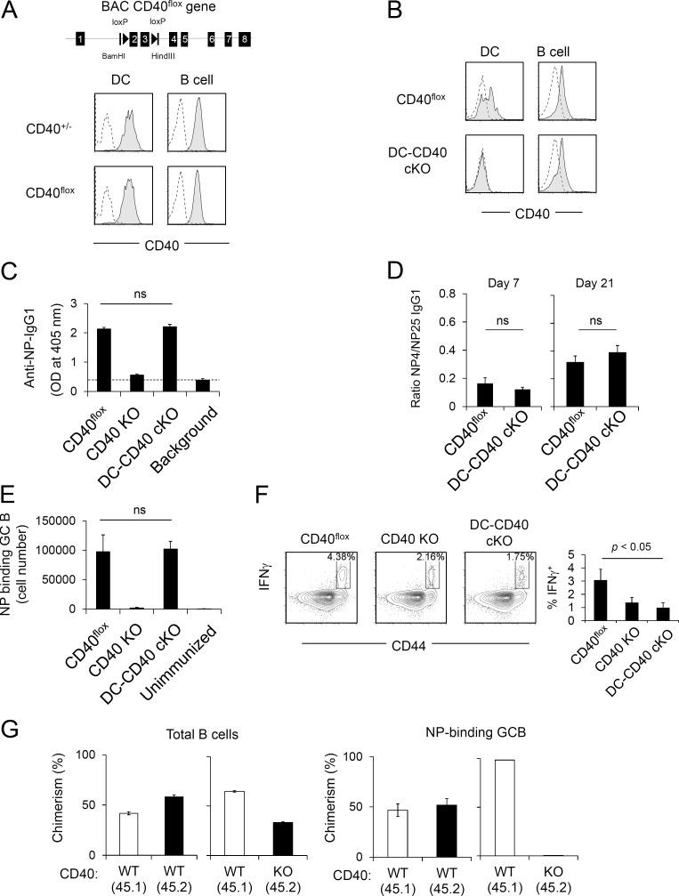 https://cdn.ncbi.nlm.nih.gov/pmc/blobs/cb21/5584122/d747305e36f3/JEM_20161955_Fig4.jpg