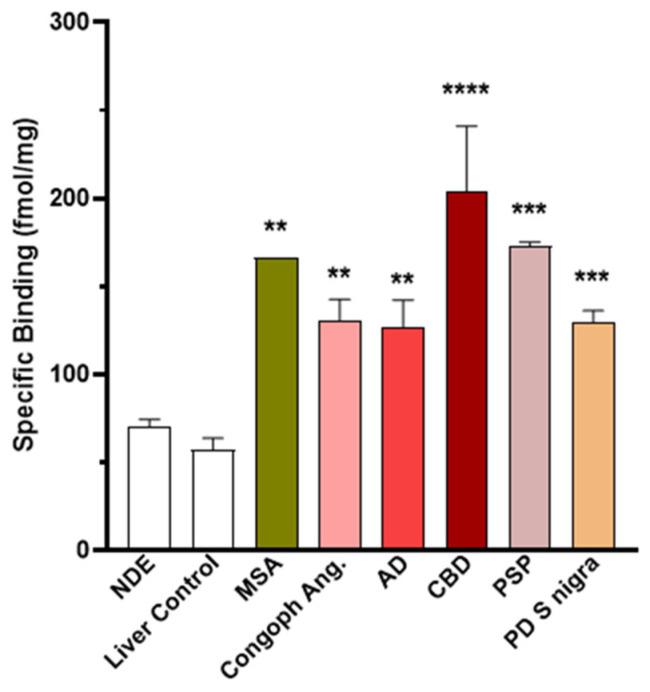 https://cdn.ncbi.nlm.nih.gov/pmc/blobs/cb22/12190736/30ddc0f6177e/cells-14-00869-g0A6.jpg
