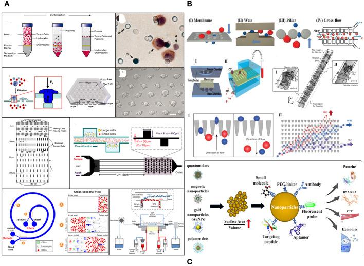 https://cdn.ncbi.nlm.nih.gov/pmc/blobs/cb23/11091305/a65db2ec6c70/fonc-14-1389775-g005.jpg