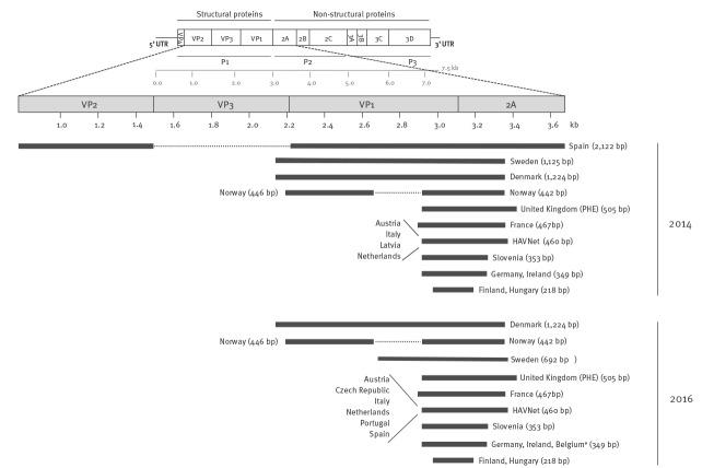 https://cdn.ncbi.nlm.nih.gov/pmc/blobs/cb23/6636214/e9fe7624d32e/1800397-f3.jpg