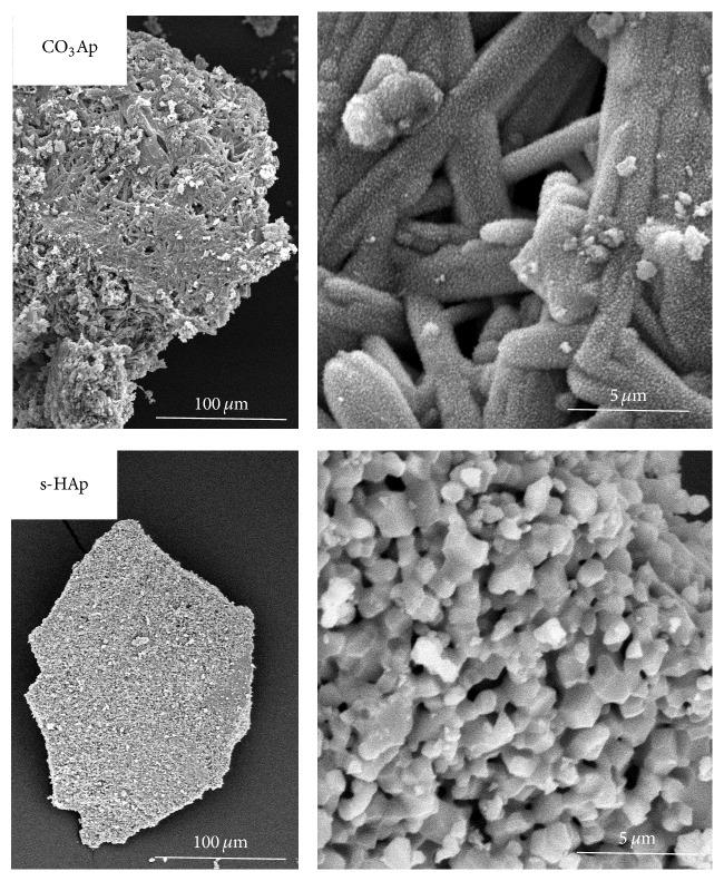 https://cdn.ncbi.nlm.nih.gov/pmc/blobs/cb24/4609359/d9715cd60ad5/BMRI2015-579541.001.jpg