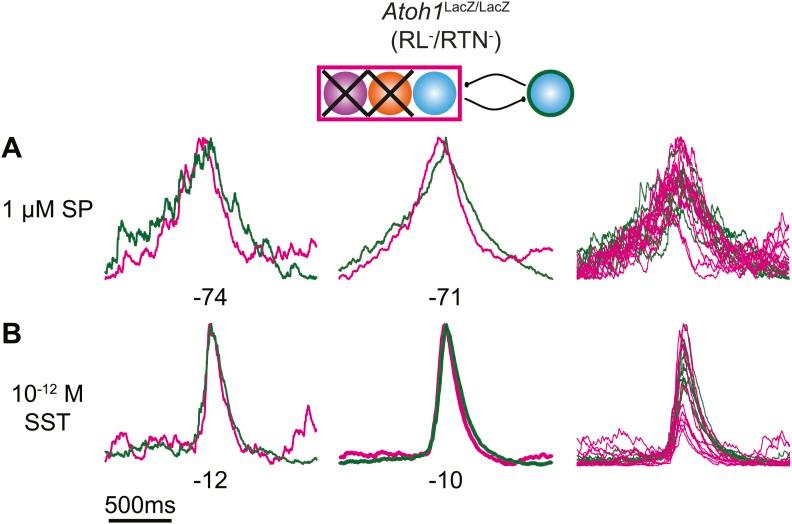 https://cdn.ncbi.nlm.nih.gov/pmc/blobs/cb25/4060005/5c4b087566ea/elife02265fs005.jpg