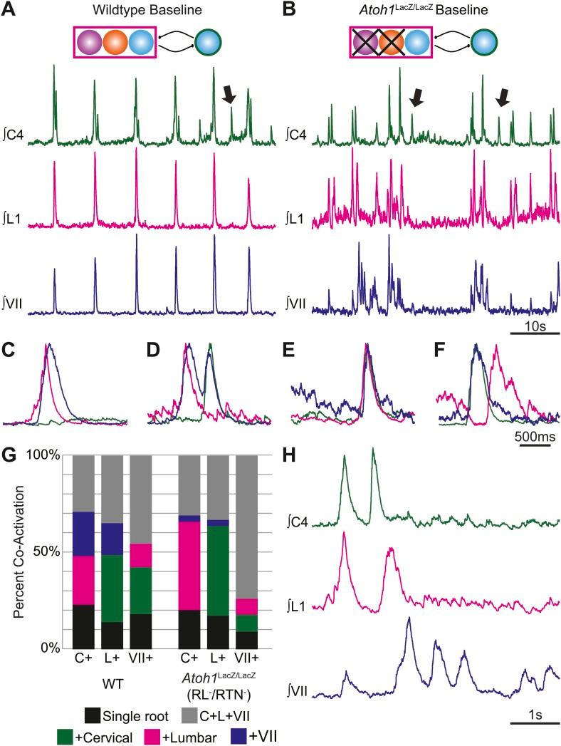 https://cdn.ncbi.nlm.nih.gov/pmc/blobs/cb25/4060005/8c6e72714567/elife02265f004.jpg