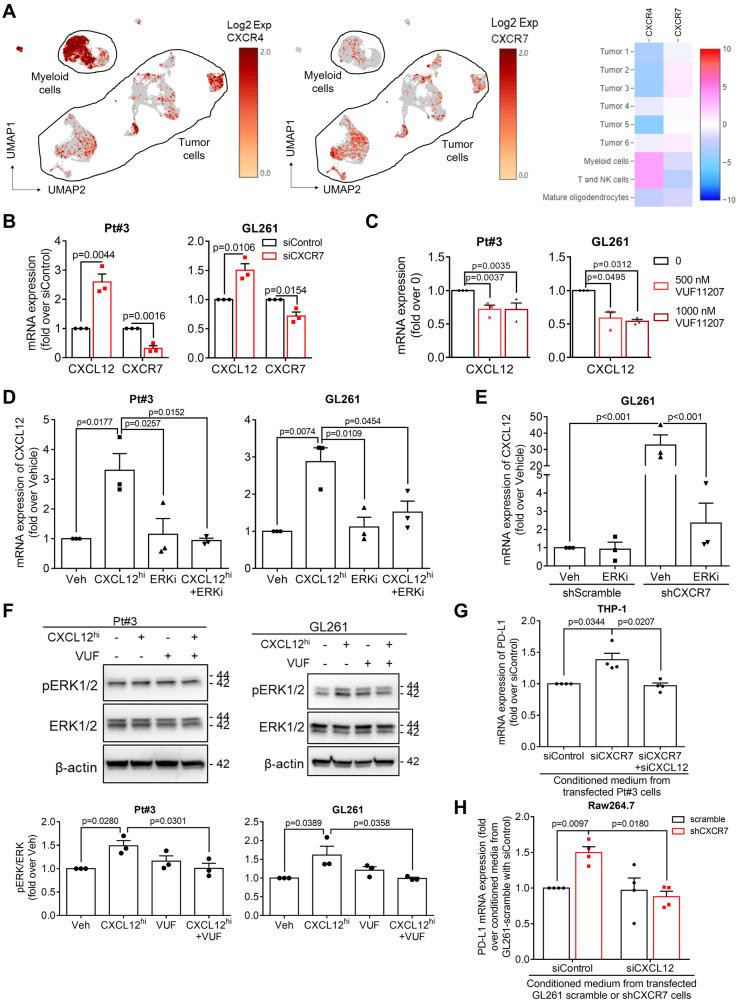 https://cdn.ncbi.nlm.nih.gov/pmc/blobs/cb28/11187218/87d53b93ba20/41419_2024_6784_Fig3_HTML.jpg