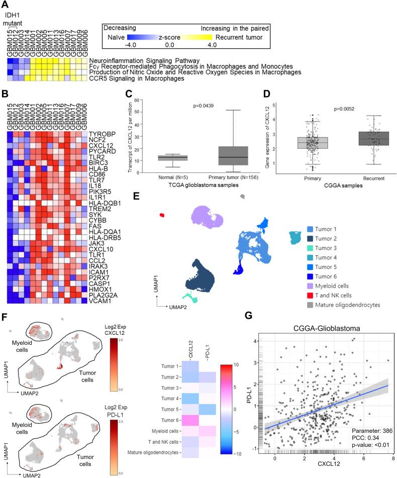 https://cdn.ncbi.nlm.nih.gov/pmc/blobs/cb28/11187218/d322885e6e69/41419_2024_6784_Fig1_HTML.jpg