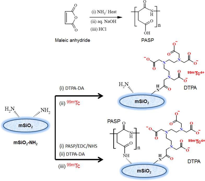 https://cdn.ncbi.nlm.nih.gov/pmc/blobs/cb28/12102942/022dace2eaa6/13065_2025_1508_Fig1_HTML.jpg