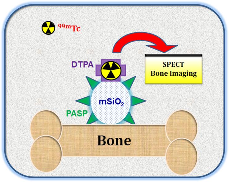 https://cdn.ncbi.nlm.nih.gov/pmc/blobs/cb28/12102942/3df1111486dc/13065_2025_1508_Figa_HTML.jpg