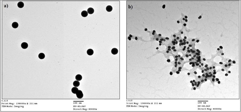 https://cdn.ncbi.nlm.nih.gov/pmc/blobs/cb28/12102942/a8cc16b83fce/13065_2025_1508_Fig3_HTML.jpg