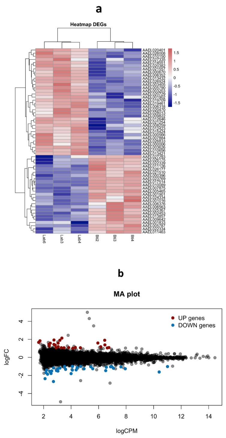 https://cdn.ncbi.nlm.nih.gov/pmc/blobs/cb28/9866606/38bcec590fb9/viruses-15-00072-g004.jpg