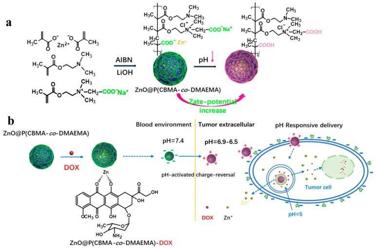 https://cdn.ncbi.nlm.nih.gov/pmc/blobs/cb2e/6401959/a46a4e3f15bc/polymers-10-01272-sch001.jpg