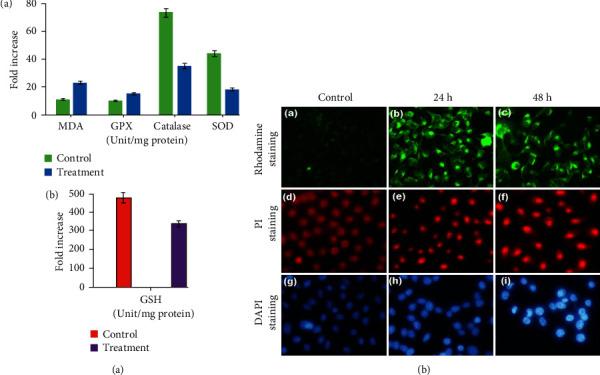 https://cdn.ncbi.nlm.nih.gov/pmc/blobs/cb31/11221967/8267d67827c9/BCA2024-8180102.009.jpg