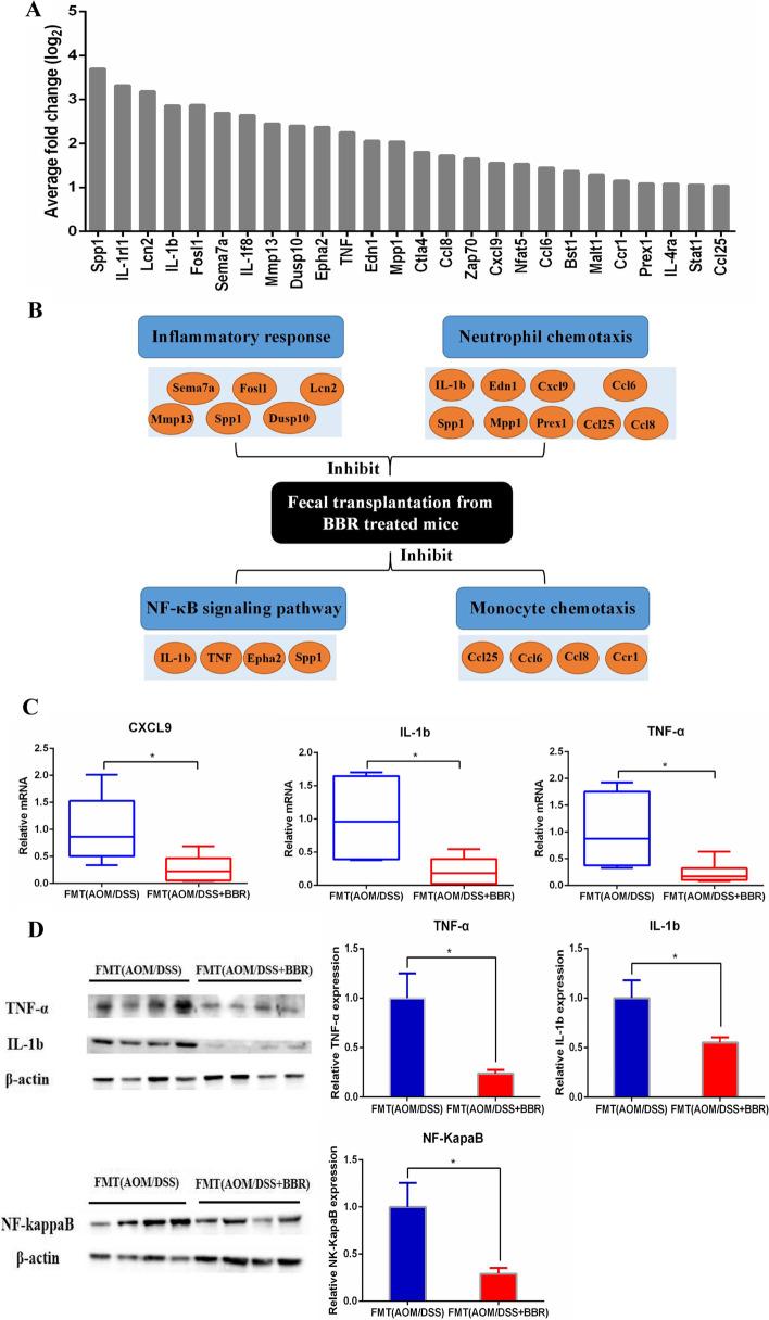 https://cdn.ncbi.nlm.nih.gov/pmc/blobs/cb31/9123795/4202b3209213/12885_2022_9635_Fig8_HTML.jpg