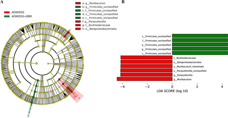 https://cdn.ncbi.nlm.nih.gov/pmc/blobs/cb31/9123795/71da21e96064/12885_2022_9635_Fig5_HTML.jpg